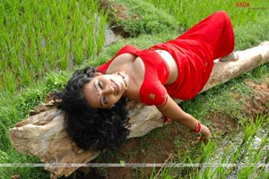 Teertha Spicy Photo Gallery