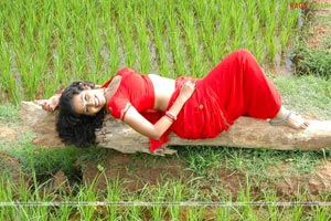 Teertha Spicy Photo Gallery