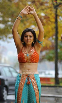 Hansika Photo Gallery