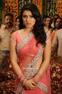 Hansika Photo Gallery