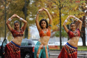 Hansika Photo Gallery