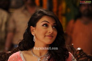 Hansika Photo Gallery