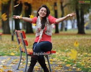 Hansika Photo Gallery