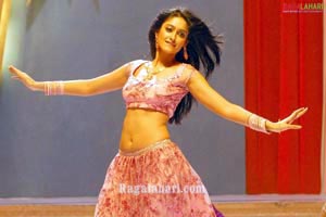 Ileana Photo Gallery