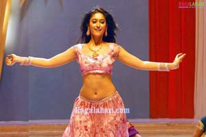 Ileana Photo Gallery