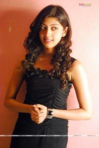 Pranitha Photo Gallery