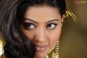 Sneha Photo Gallery