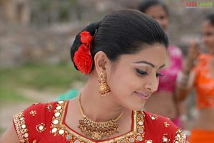 Sneha Photo Gallery