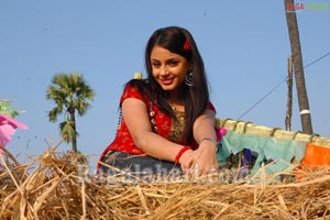 Suhani Kalita Photo Gallery from Sneha Geetham