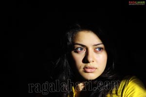 Hansika Motwani