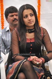 Trisha Venkatesh Film Opening