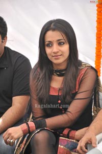 Trisha Venkatesh Film Opening