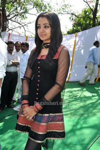 Trisha Venkatesh Film Opening