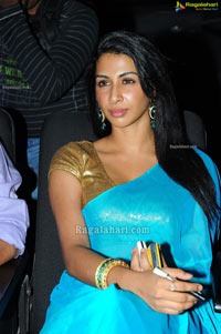 Gayathri Iyer @ Gola Gola Audio Launch