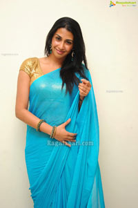 Gayathri Iyer @ Gola Gola Audio Launch