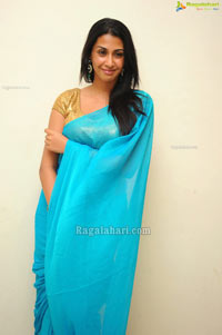 Gayathri Iyer @ Gola Gola Audio Launch