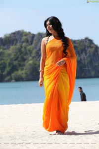 Samantha in Saree Photos