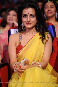 Ameesha Patel in Saree