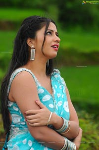 Nisha Shah in Blue Saree