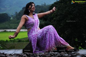 Nisha Shah in Saree