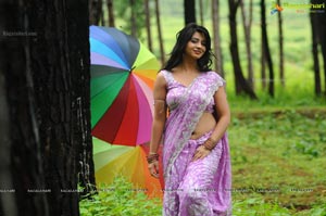 Nisha Shah in Saree