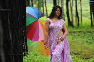 Nisha Shah in Saree