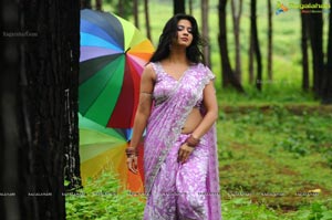 Nisha Shah in Saree