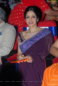 Sridevi at TSR-TV9 2011-2012 National Awards