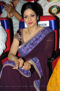 Sridevi at TSR-TV9 2011-2012 National Awards