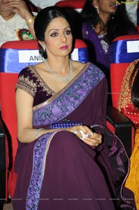Sridevi at TSR-TV9 2011-2012 National Awards