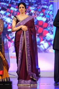 Sridevi at TSR-TV9 2011-2012 National Awards