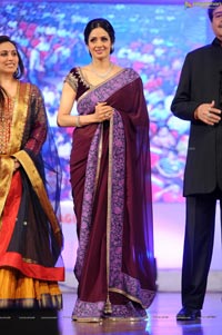 Sridevi at TSR-TV9 2011-2012 National Awards