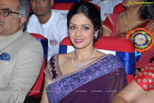 Sridevi at TSR-TV9 2011-2012 National Awards