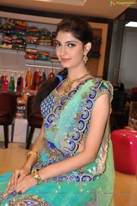 Ashna Misra in Half Saree