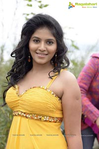 Anjali in Settai