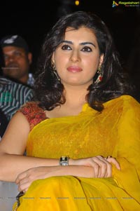 Archana at Park Audio Release