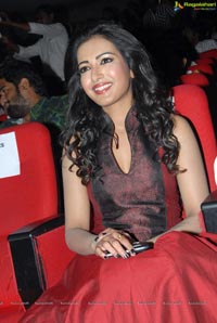 Catherine Tresa at Iddarammayilatho Audio Release