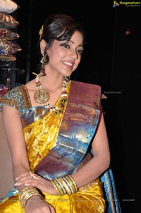 Vithika Sheru at Kalanikethan Hyderabad