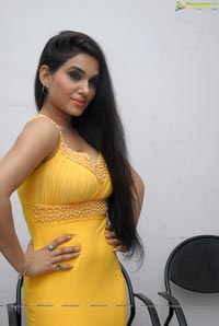 Kavya Singh Spicy Pics in Yellow Dress