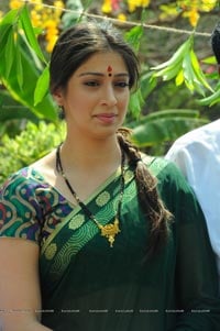 Lakshmi Rai in Saree