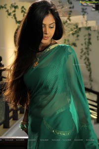 Monal Gajjar Hot Pics in Saree