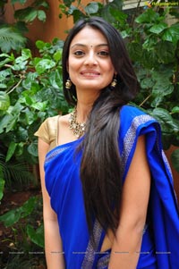 Nikitha Narayan in Saree