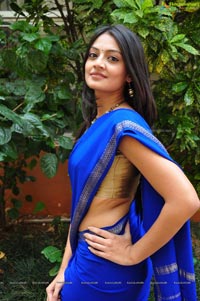 Nikitha Narayan in Saree