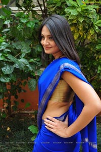 Nikitha Narayan in Saree