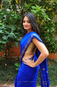 Nikitha Narayan in Saree