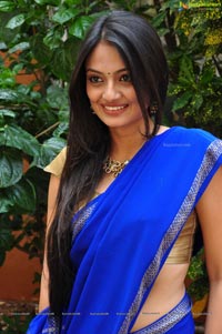 Nikitha Narayan in Saree