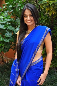 Nikitha Narayan in Saree