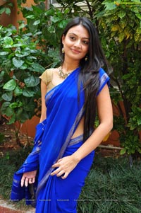 Nikitha Narayan in Saree