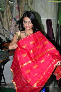 Nikitha Narayan in Saree