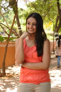 Nikitha Narayan in Pink Dress